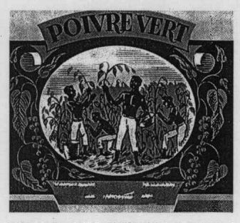 POIVRE VERT