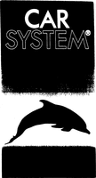 CAR SYSTEM