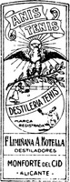 ANIS TENIS