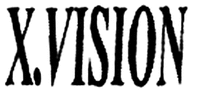 X. VISION