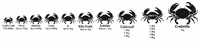1/2Kilo Crab Small Medium Large XL Kilo Krab Jumbo Colossal OMG Crabzilla