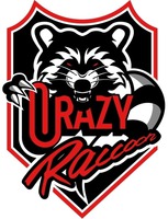 CRAZY Raccoon