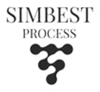 SIMBEST PROCESS