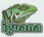 iguana