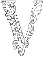 V
