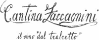 Cantina Zaccagnini il vino 