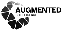 AUGMENTED INTELLIGENCE