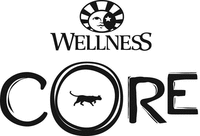 WELLNESS CORE