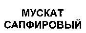  MUSKAT SAPFIROVYI. 