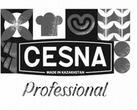 CESNA MADE IN KAZAKHSTAN Professional