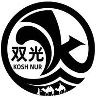 KOSH NUR