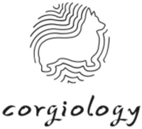 corgiology