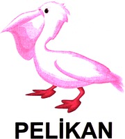 PELIKAN
