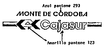 MONTE DE CORDOBA Cajasur