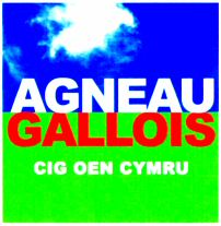 AGNEAU GALLOIS CIG OEN CYMRU