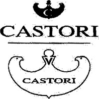 CASTORI