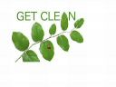 GET CLEAN