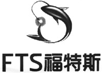 FTS