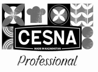 CESNA MADE IN KAZAKHSTAN Professional