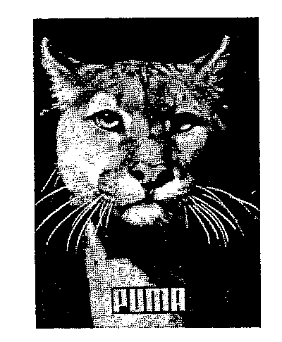 PUMA