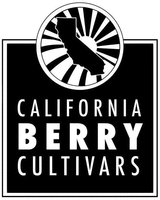 CALIFORNIA BERRY CULTIVARS
