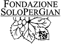 FONDAZIONE SOLOPERGIAN
