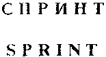 SPRINT
