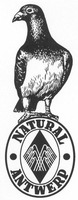 NATURAL ANTWERP