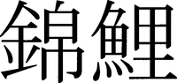 NISHIKIGOI 