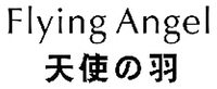 Flying Angel