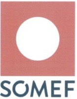 SOMEF