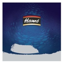 Hamé