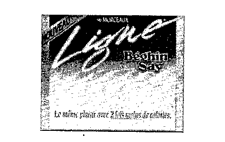 Ligne de Béghin Say