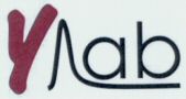 YLab