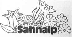Sahnalp