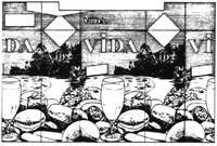 VIDA