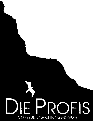 DIE PROFIS COIFFUR-EINRICHTUNGS-DESIGN