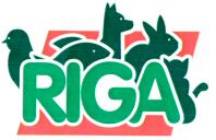 RIGA