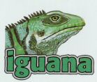 iguana