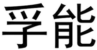 FU NENG
