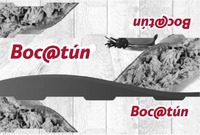 Boc@tún
