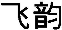 FEI YUN.