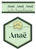 Anaë CULTIVER L'ESSENTIEL