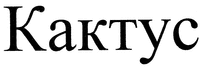 Kaktus