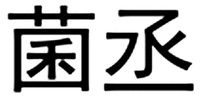 JUN CHENG
