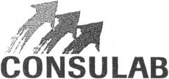 CONSULAB