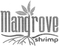 Mangrove shrimp