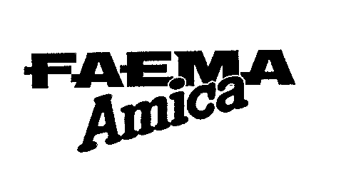 FAEMA Amica
