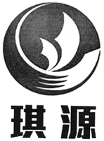  QI YUAN 