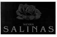 SIERRA SALINAS
